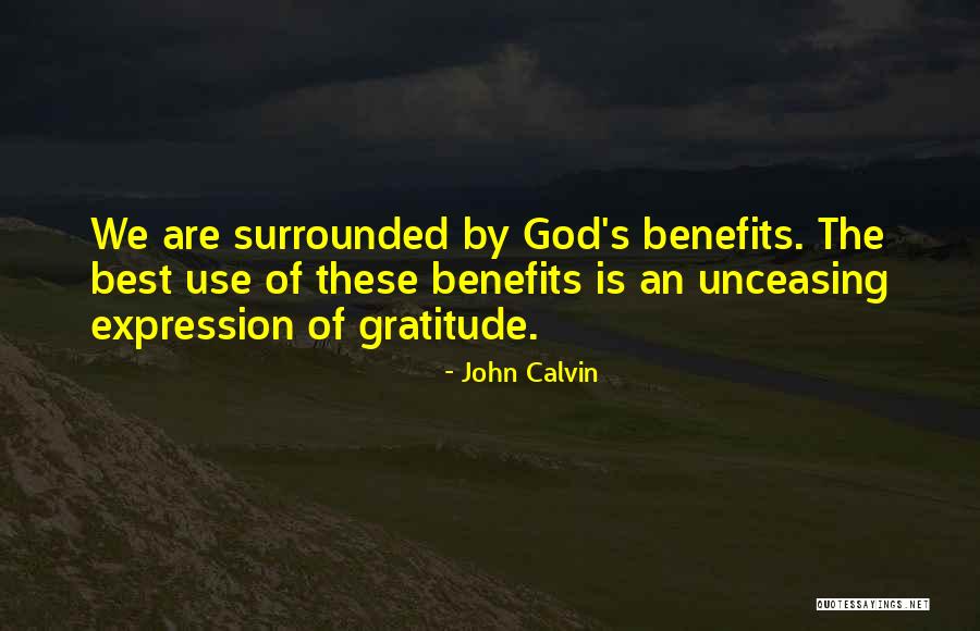 We Are The Best Quotes By John Calvin