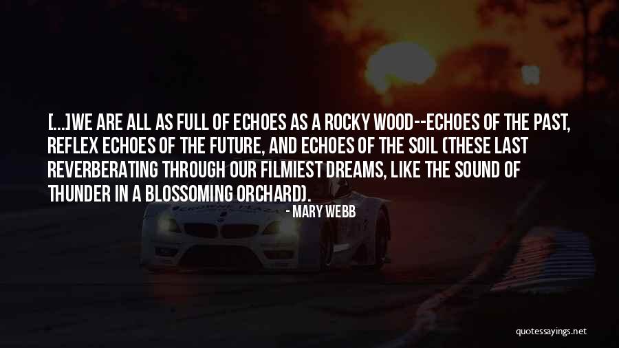 We Are The Future Quotes By Mary Webb We Are The Future Quotes By Mary Webb