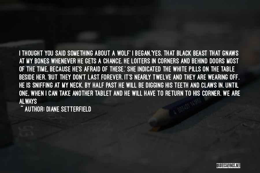 We Are The Same Quotes By Diane Setterfield