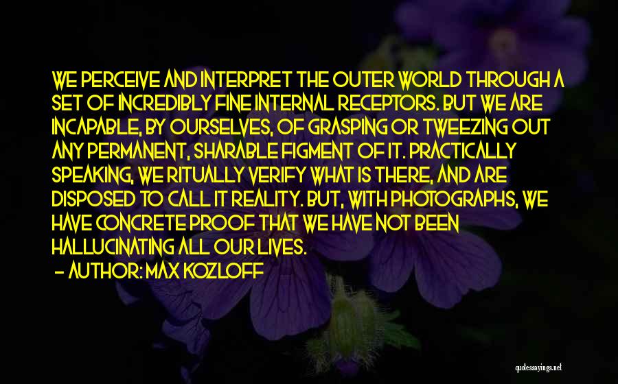 We Are The World Quotes By Max Kozloff
