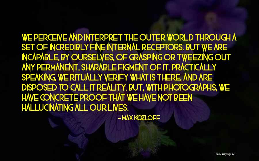 We Are The World Quotes By Max Kozloff