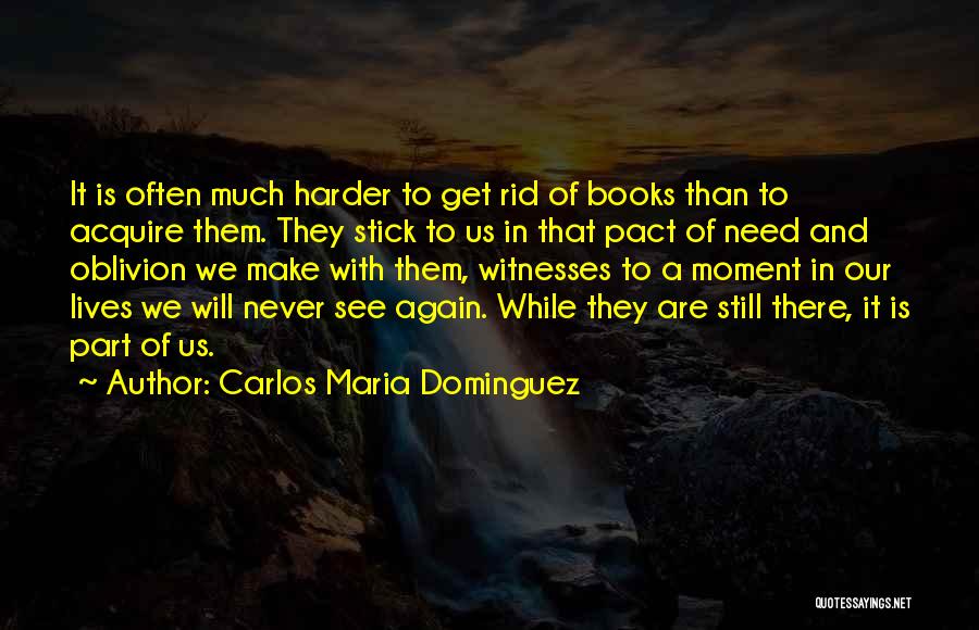 We Are Witnesses Quotes By Carlos Maria Dominguez