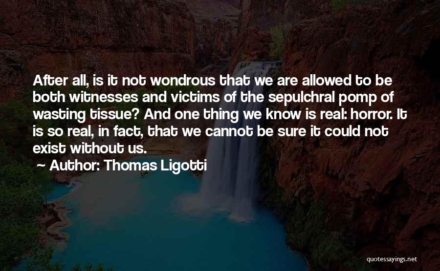 We Are Witnesses Quotes By Thomas Ligotti