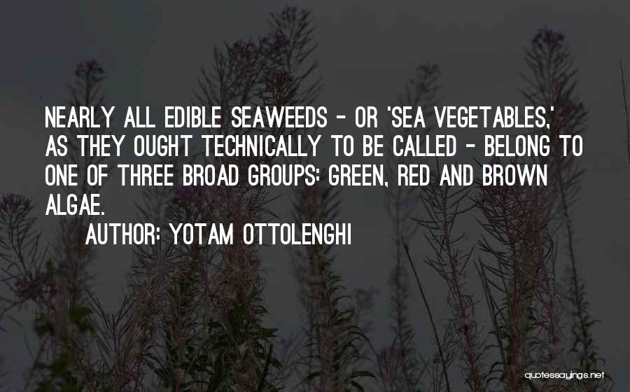 We Belong To The Sea Quotes By Yotam Ottolenghi