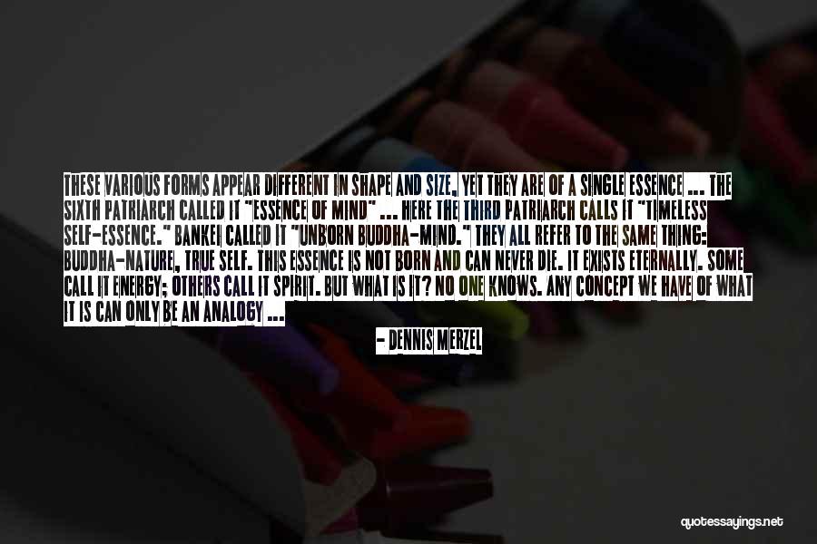 We Born To Die Quotes By Dennis Merzel We Born To Die Quotes By Dennis Merzel