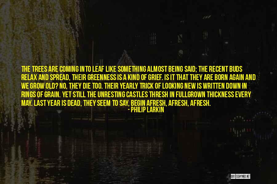 We Born To Die Quotes By Philip Larkin We Born To Die Quotes By Philip Larkin