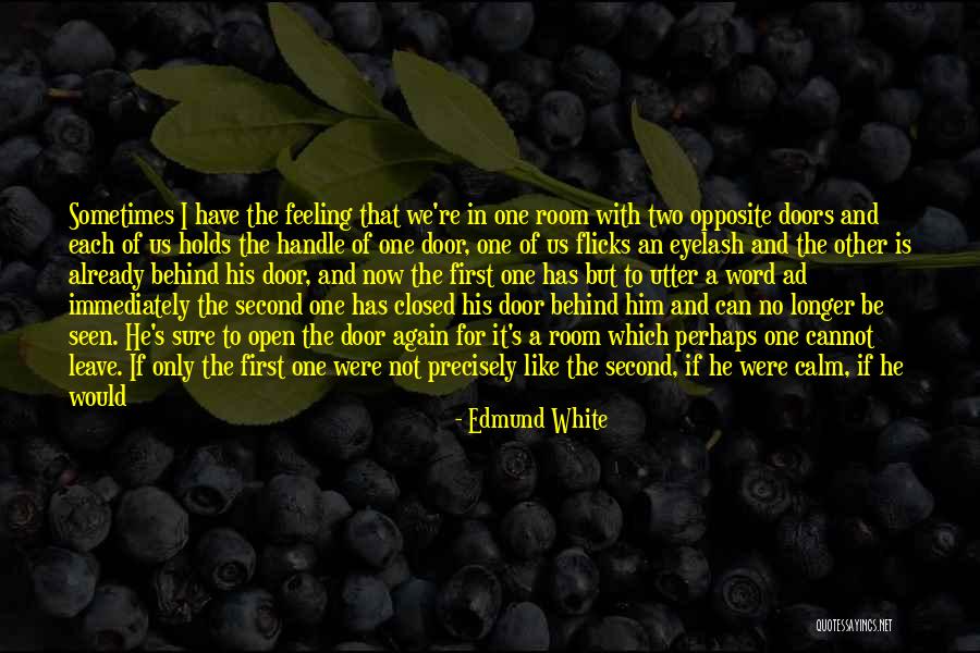 We Both Like Each Other Quotes By Edmund White