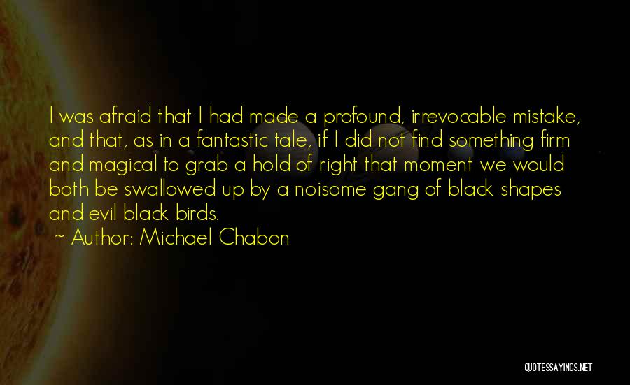 We Both Made Mistakes Quotes By Michael Chabon