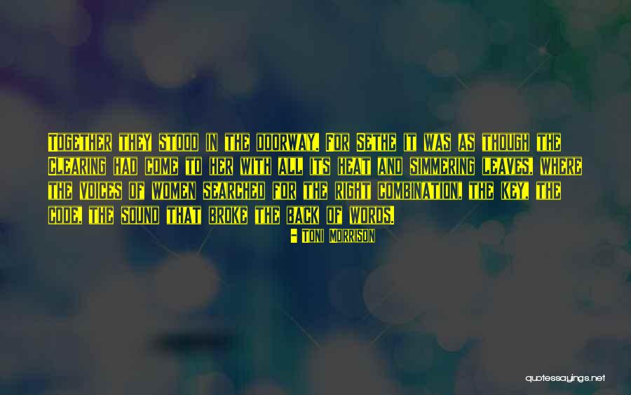 We Broke Up And Got Back Together Quotes By Toni Morrison