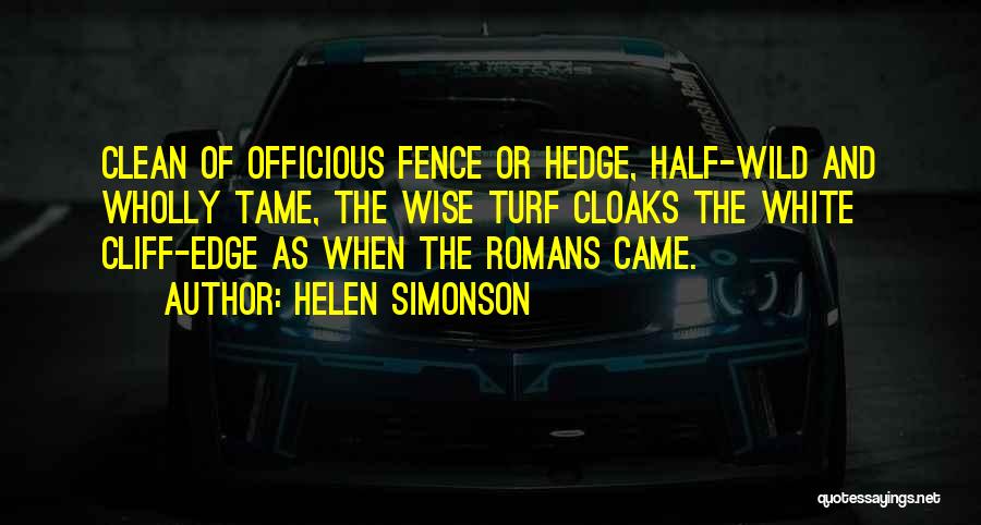 We Came As Romans Quotes By Helen Simonson