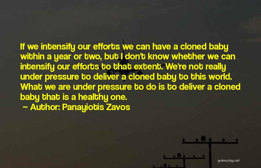 We Can Deliver Quotes By Panayiotis Zavos