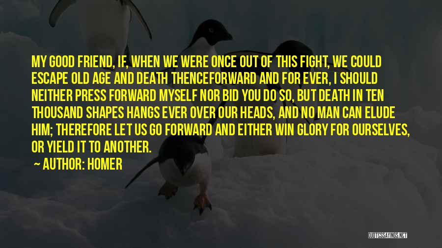 We Can Fight Quotes By Homer