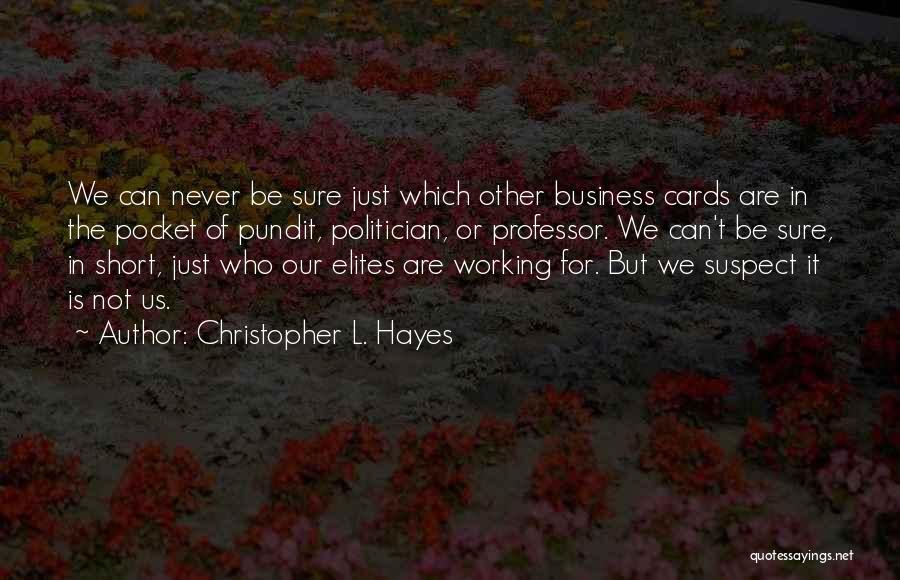 We Can Never Be Quotes By Christopher L. Hayes