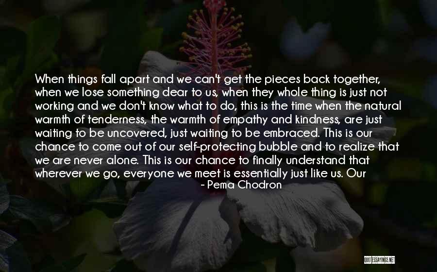 We Can Never Be Together Quotes By Pema Chodron We Can Never Be Together Quotes By Pema Chodron