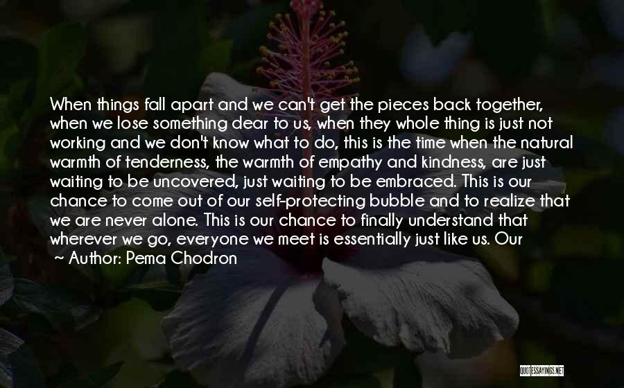 We Can Never Go Back Quotes By Pema Chodron