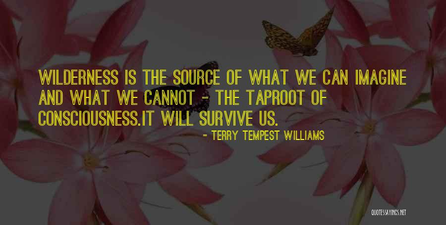 We Can Survive Quotes By Terry Tempest Williams We Can Survive Quotes By Terry Tempest Williams