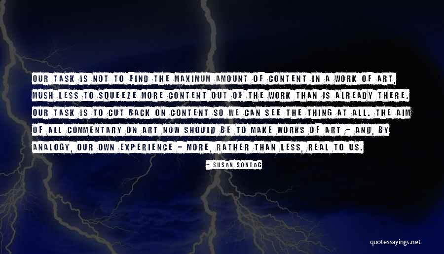 We Can Work Out Quotes By Susan Sontag