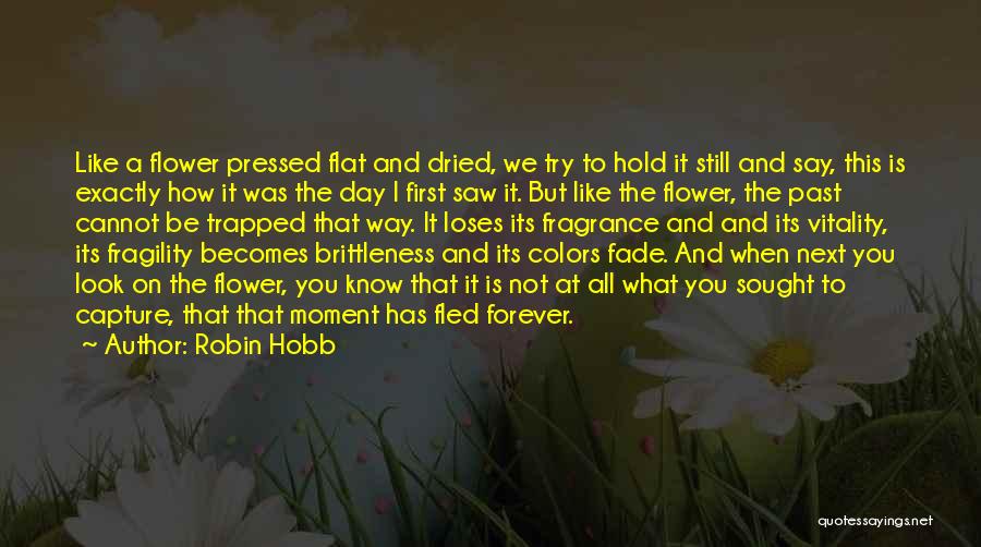 We Cannot Change Past Quotes By Robin Hobb