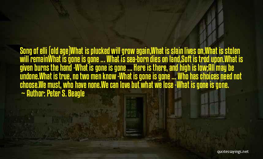 We Can't Choose Who We Love Quotes By Peter S. Beagle