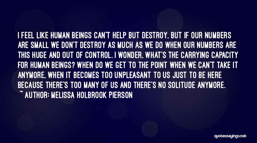 We Can't Do This Anymore Quotes By Melissa Holbrook Pierson