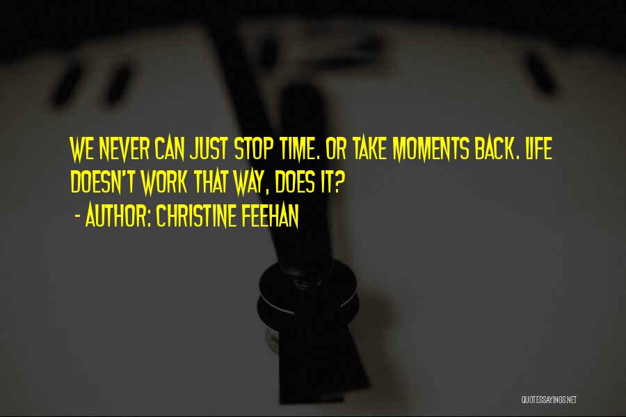 We Can't Stop Time Quotes By Christine Feehan