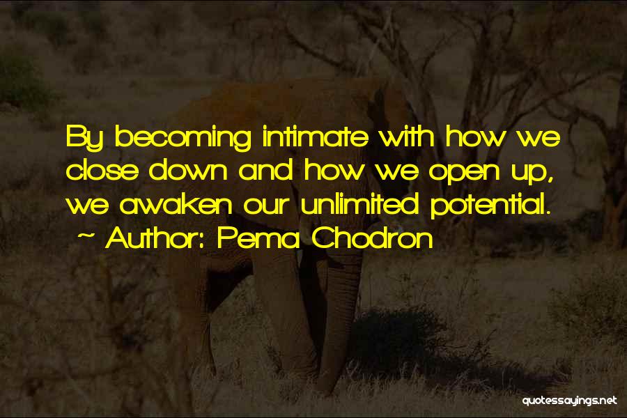 We Close Up Quotes By Pema Chodron