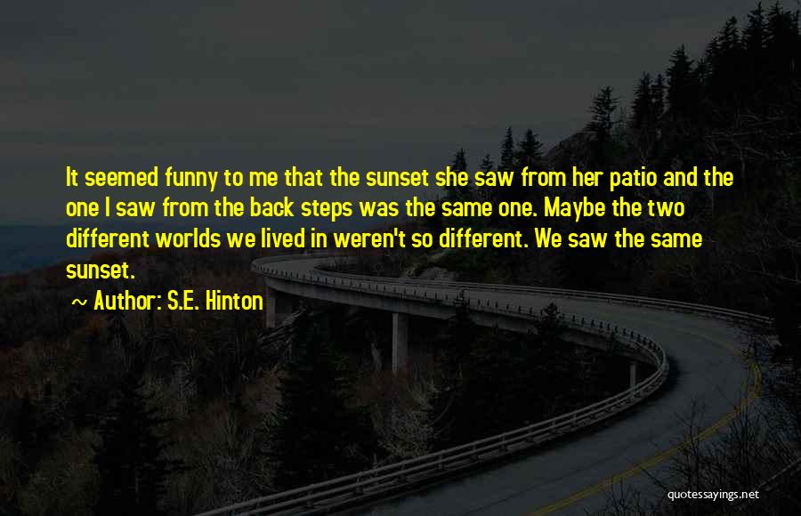 We Come From Two Different Worlds Quotes By S.E. Hinton