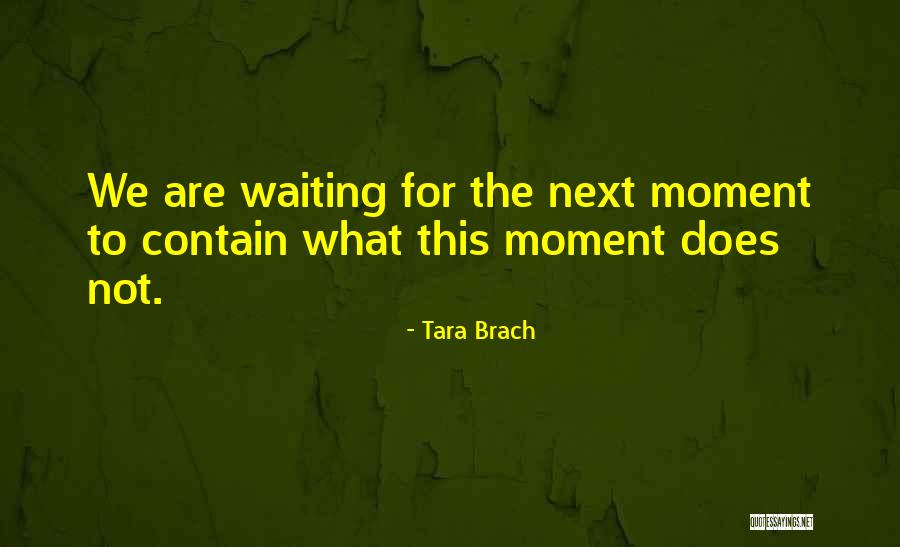 We Contain Quotes By Tara Brach