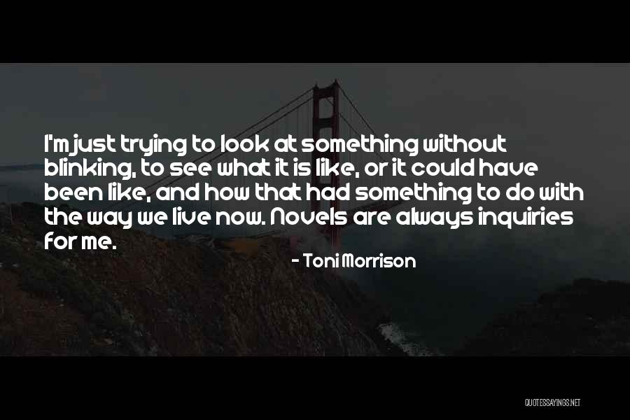 We Could Have Been Something Quotes By Toni Morrison We Could Have Been Something Quotes By Toni Morrison