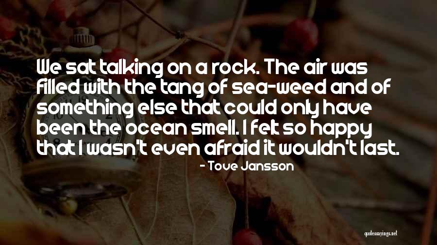 We Could Have Been Something Quotes By Tove Jansson We Could Have Been Something Quotes By Tove Jansson