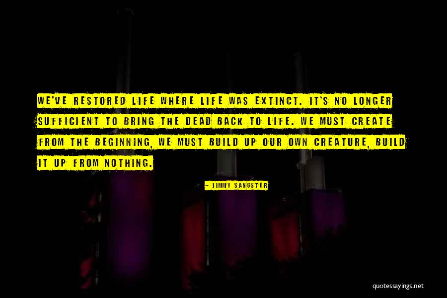 We Create Our Own Life Quotes By Jimmy Sangster