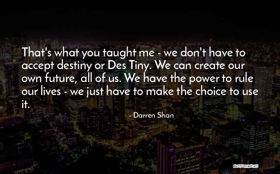 We Create Our Own Quotes By Darren Shan