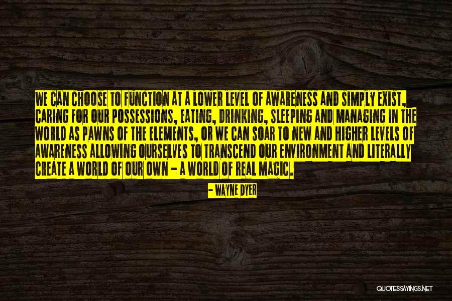 We Create Our Own Quotes By Wayne Dyer We Create Our Own Quotes By Wayne Dyer