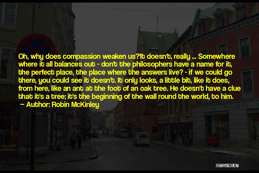 We Don Live In A Perfect World Quotes By Robin McKinley