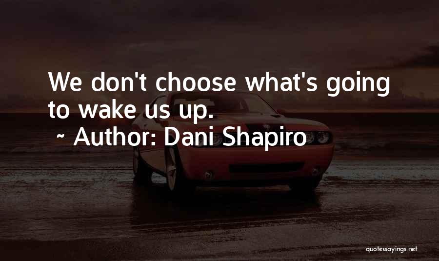 We Don't Choose Quotes By Dani Shapiro