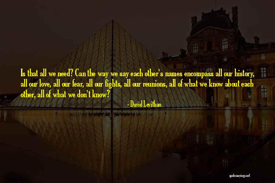 We Don't Know Each Other Quotes By David Levithan