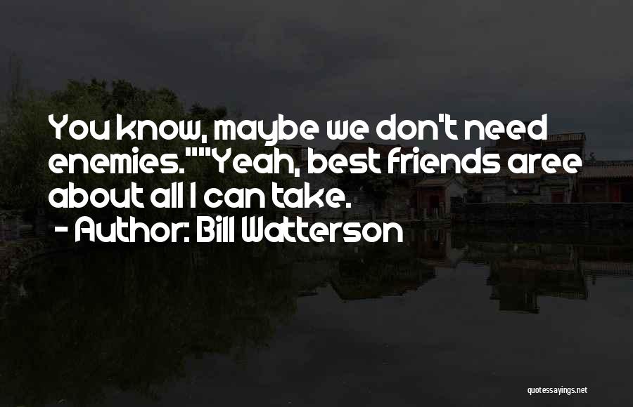 We Don't Need Friends Quotes By Bill Watterson