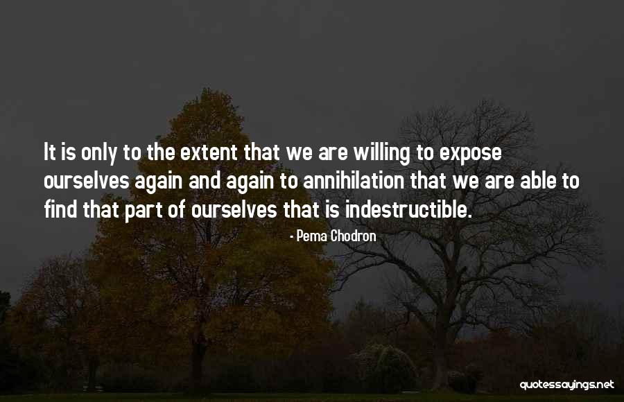 We Expose Quotes By Pema Chodron We Expose Quotes By Pema Chodron