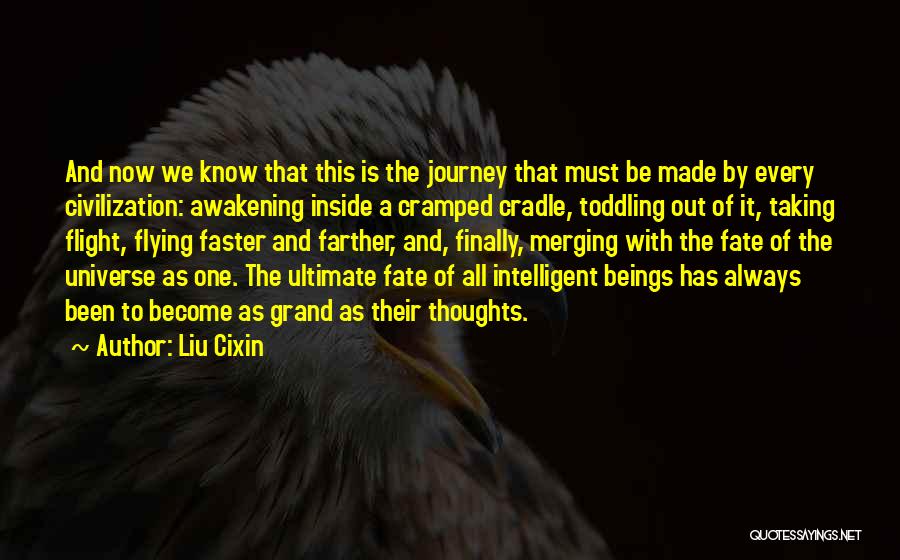 We Finally Made It Quotes By Liu Cixin