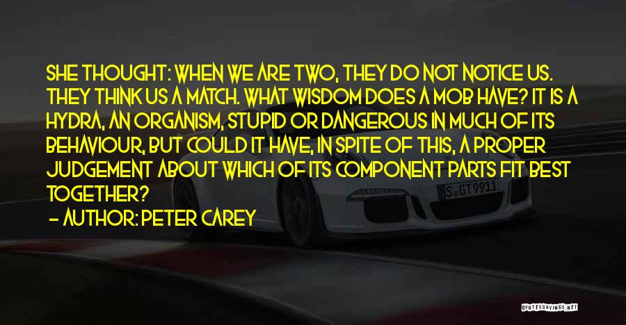 We Fit Together Quotes By Peter Carey