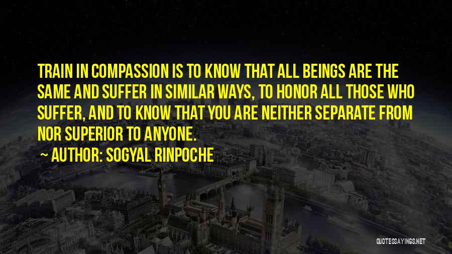 We Go Our Separate Ways Quotes By Sogyal Rinpoche