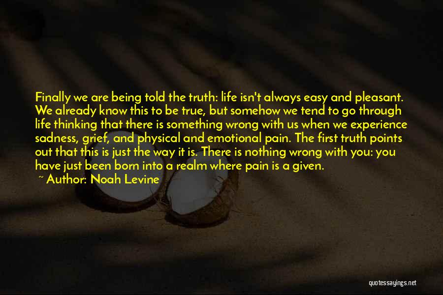 We Go Through Life Quotes By Noah Levine