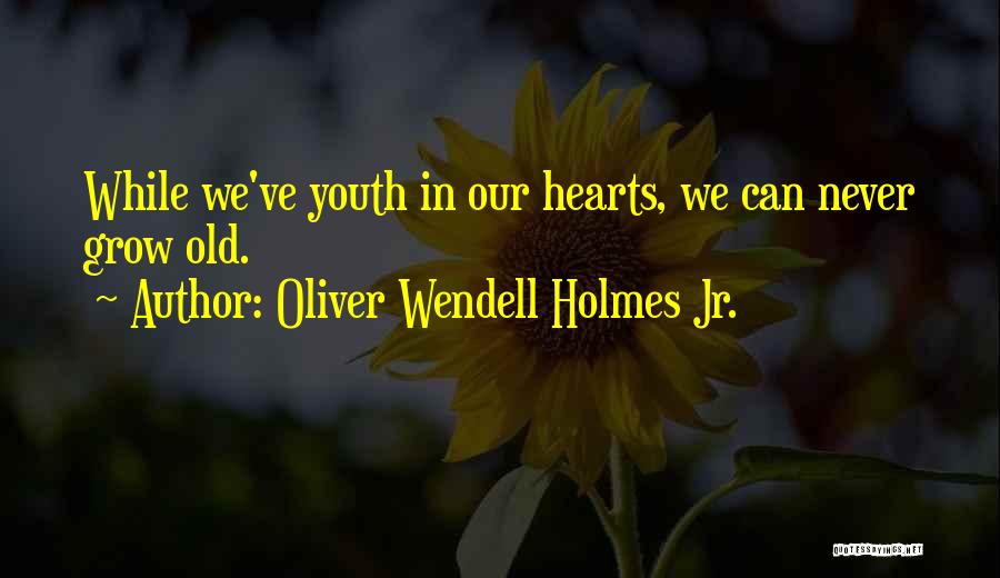 We Grow Old Quotes By Oliver Wendell Holmes Jr.