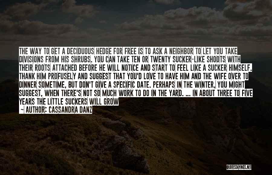 We Grow Older Love Quotes By Cassandra Danz
