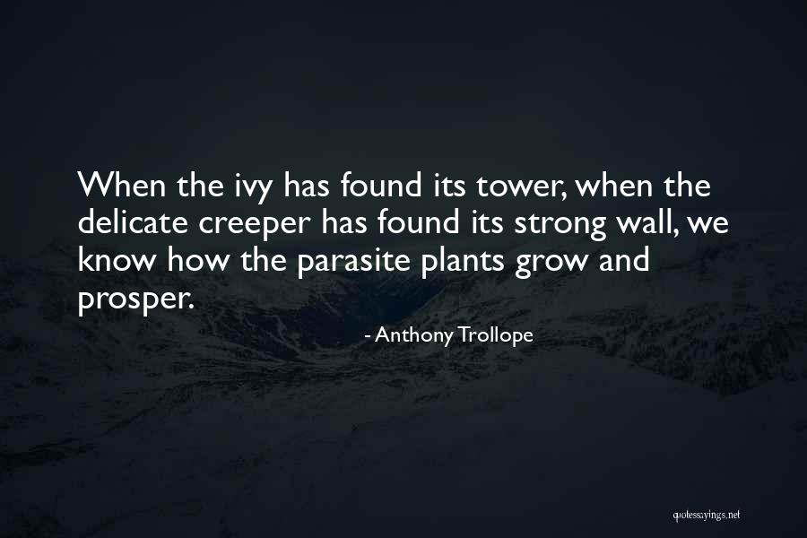 We Grow Strong Quotes By Anthony Trollope