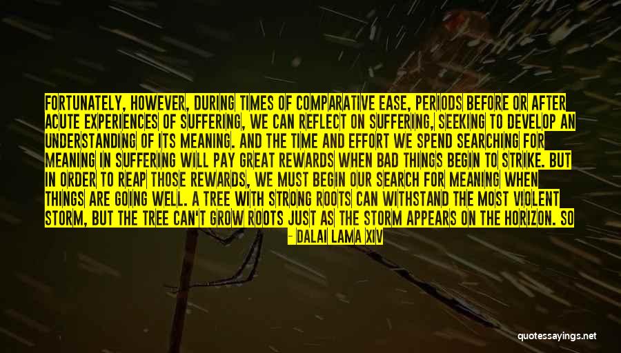 We Grow Strong Quotes By Dalai Lama XIV