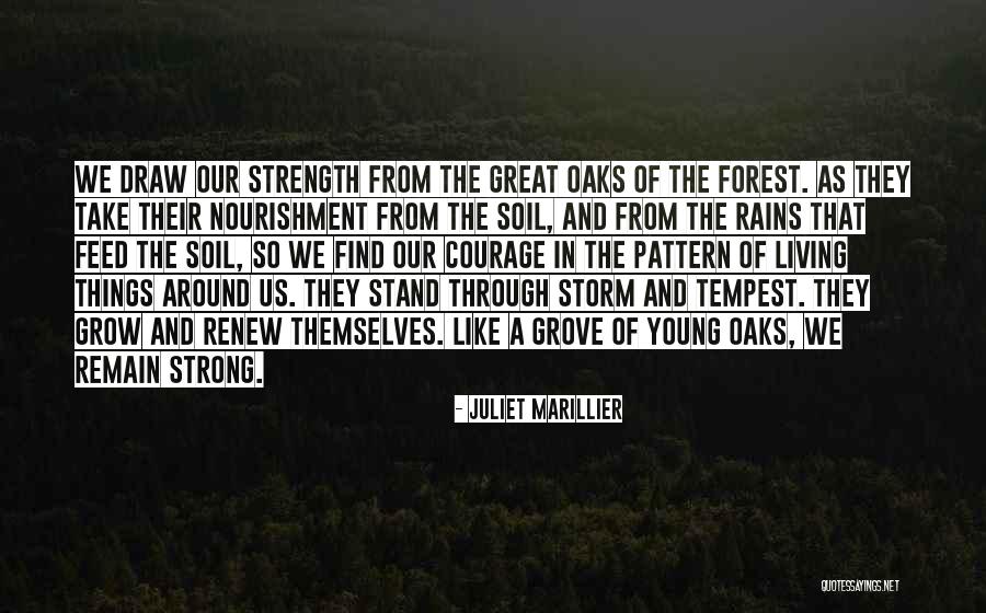 We Grow Strong Quotes By Juliet Marillier