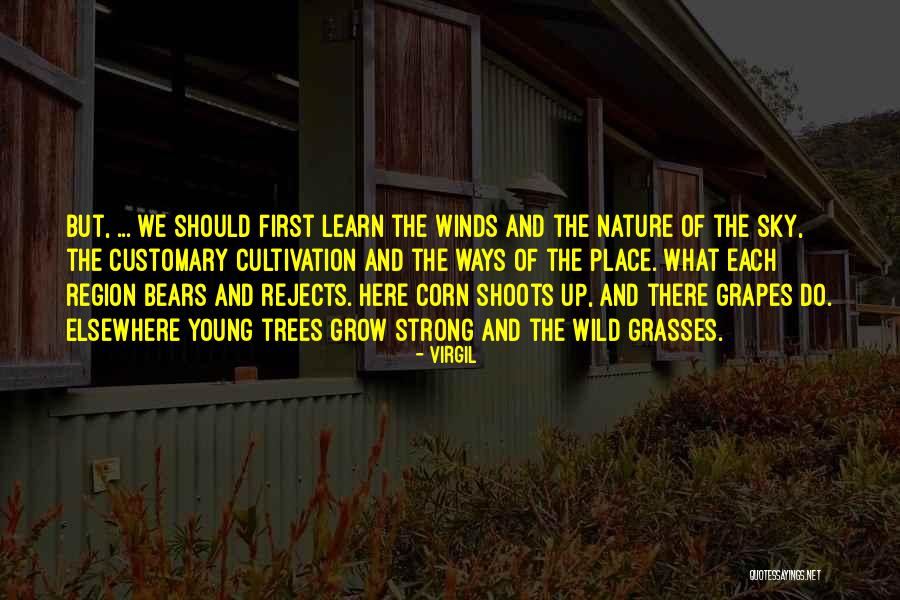 We Grow Strong Quotes By Virgil