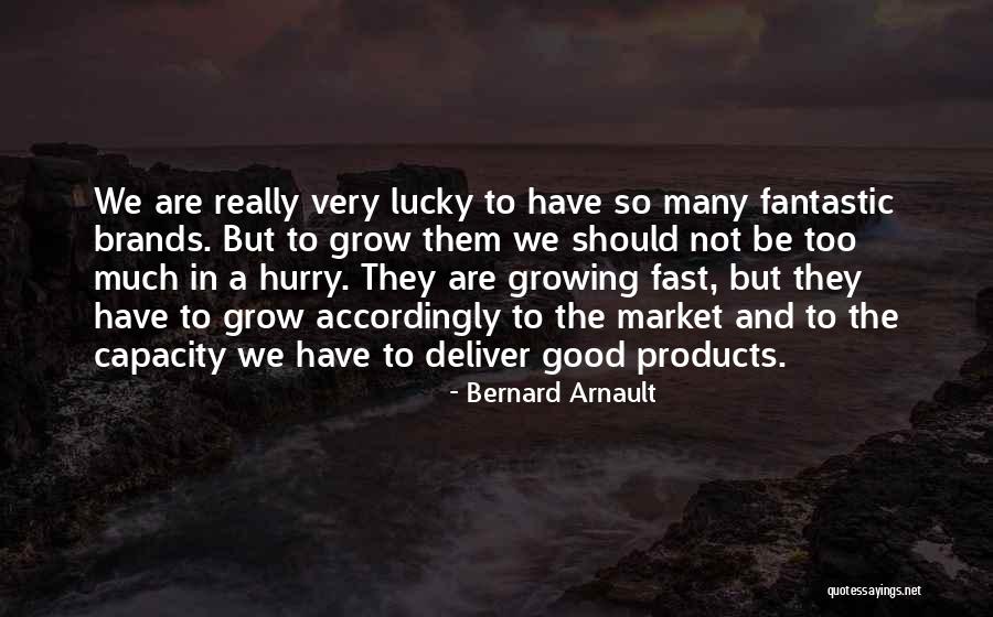 We Grow Up So Fast Quotes By Bernard Arnault We Grow Up So Fast Quotes By Bernard Arnault