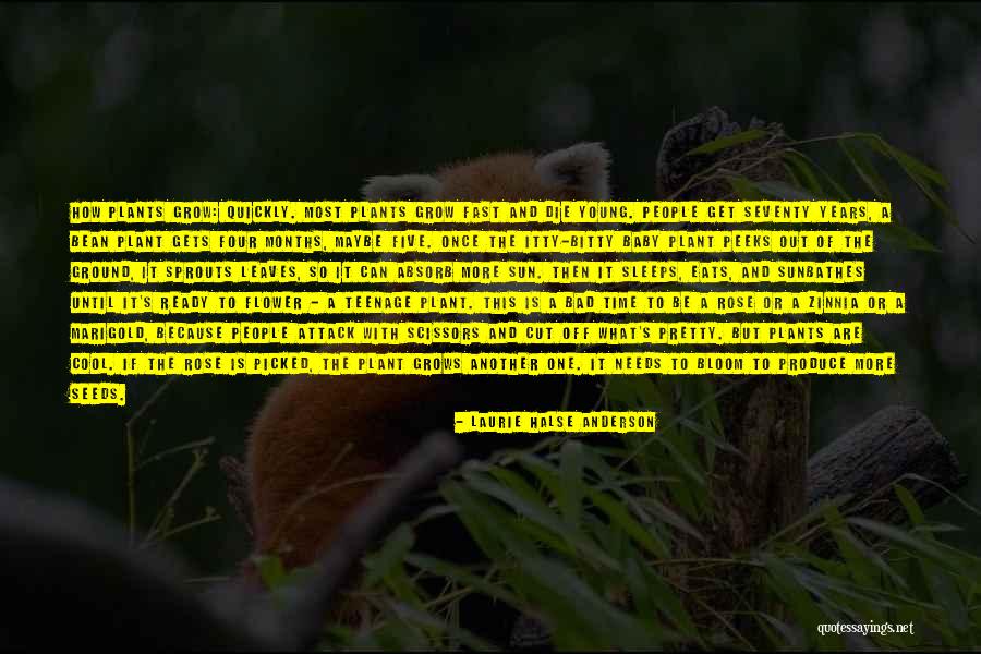 We Grow Up So Fast Quotes By Laurie Halse Anderson We Grow Up So Fast Quotes By Laurie Halse Anderson
